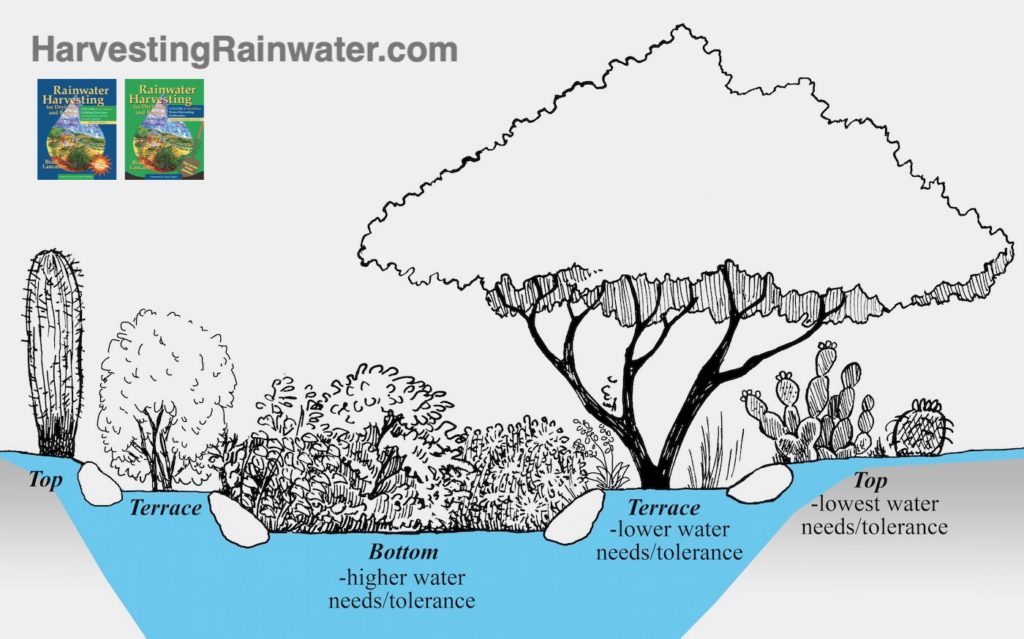 Rain gardens in action: what's the deal? - Red Stem Native Landscapes