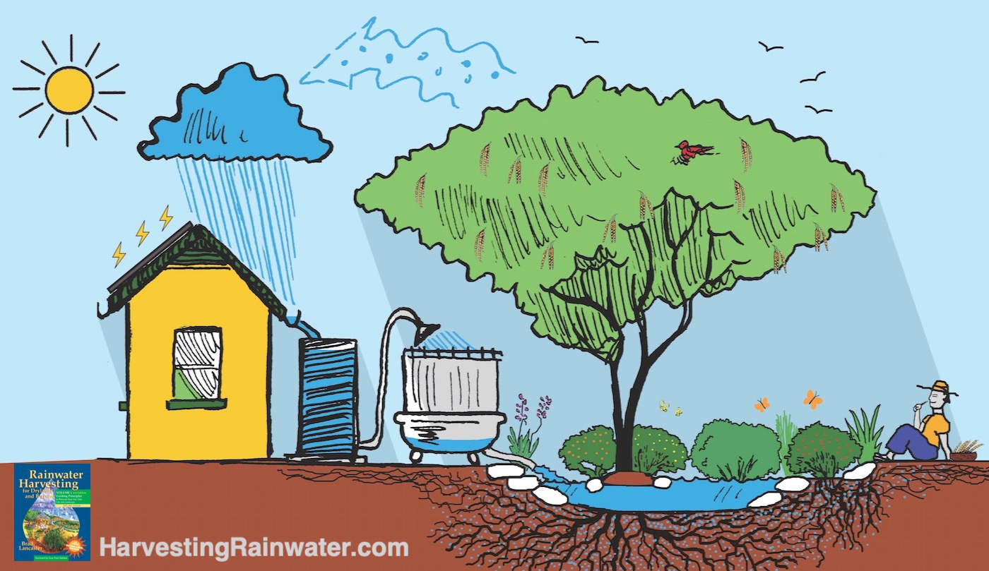 rooftop rainwater harvesting animation