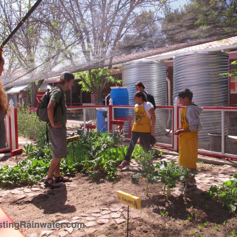 Manzo Elementary School students show how they grow crops irrigated with rainwater caught from school roof in tanks behind them.